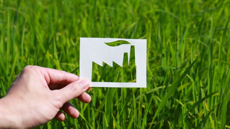 Förderprogramm für Klimaschutzverträge startet